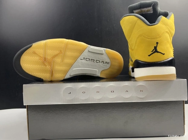 Jordan Retro T23 5 Air 454783-701 Tokyo 0626